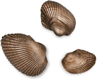 Bronzová mušľa na náhrobok, 2×3 cm až 4×5,5 cm