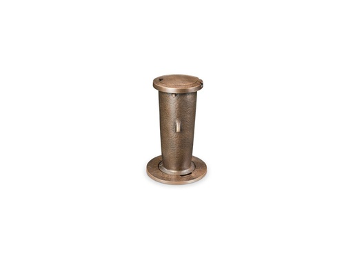 [ST-SK-53284] Bronze eingetauchte Vase mit Alter, Höhe 23 cm